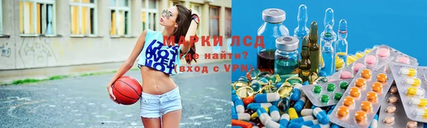 шишки Армянск