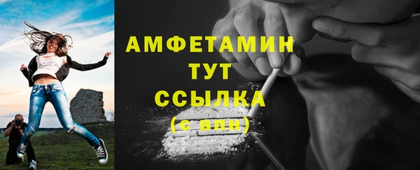 шишки Армянск