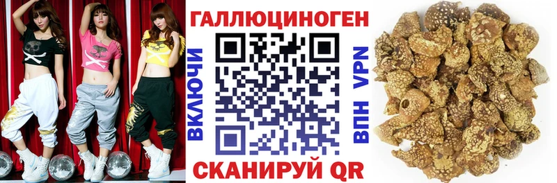 Псилоцибиновые грибы Psilocybine cubensis  сколько стоит  Ржев 